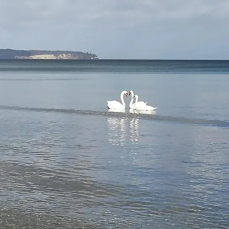 Ankerplatz Im Haus Strelasund